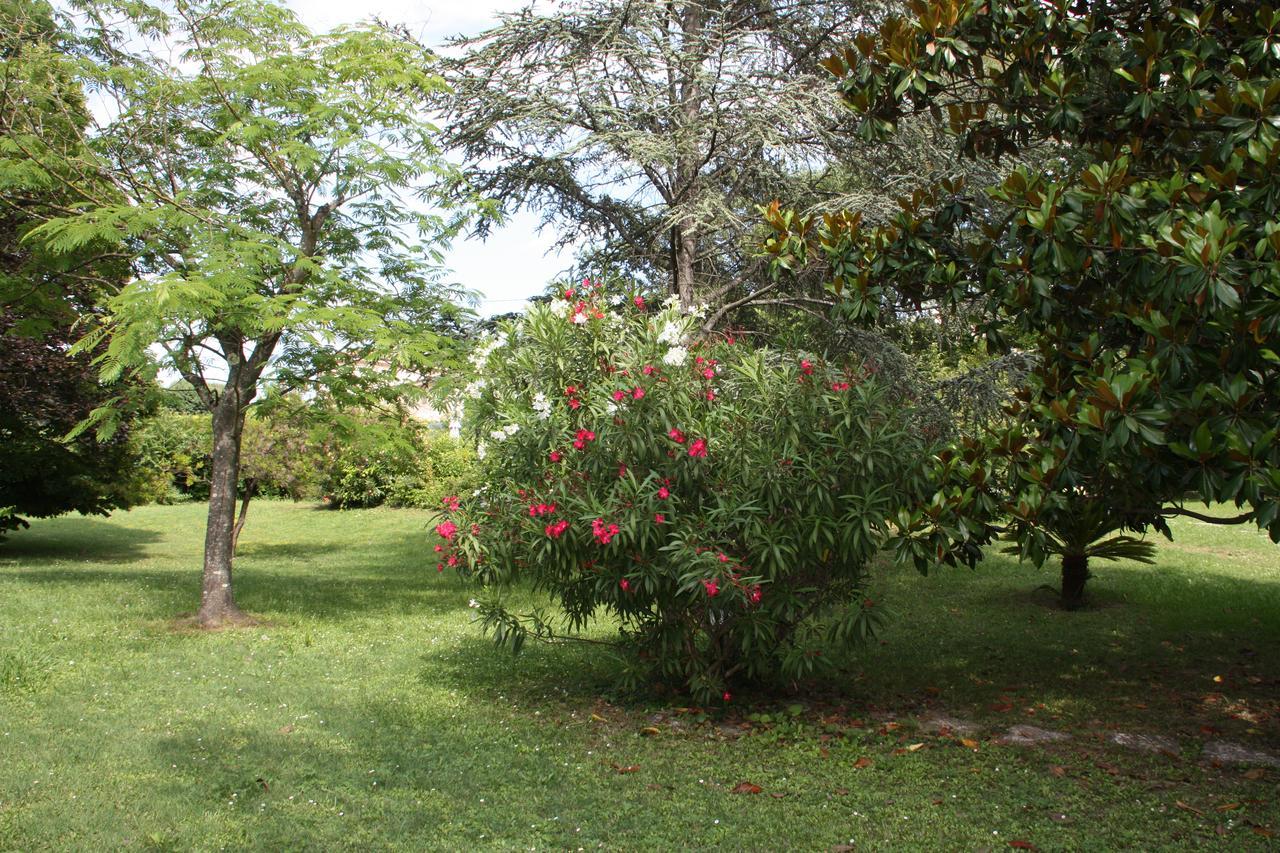 Villa Manon Mouans-Sartoux Luaran gambar
